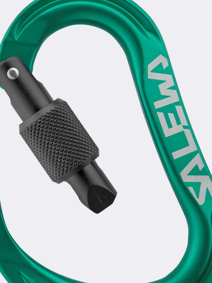 Salewa Ortles Hms Carabiner M Climbing Equipment Irish Green