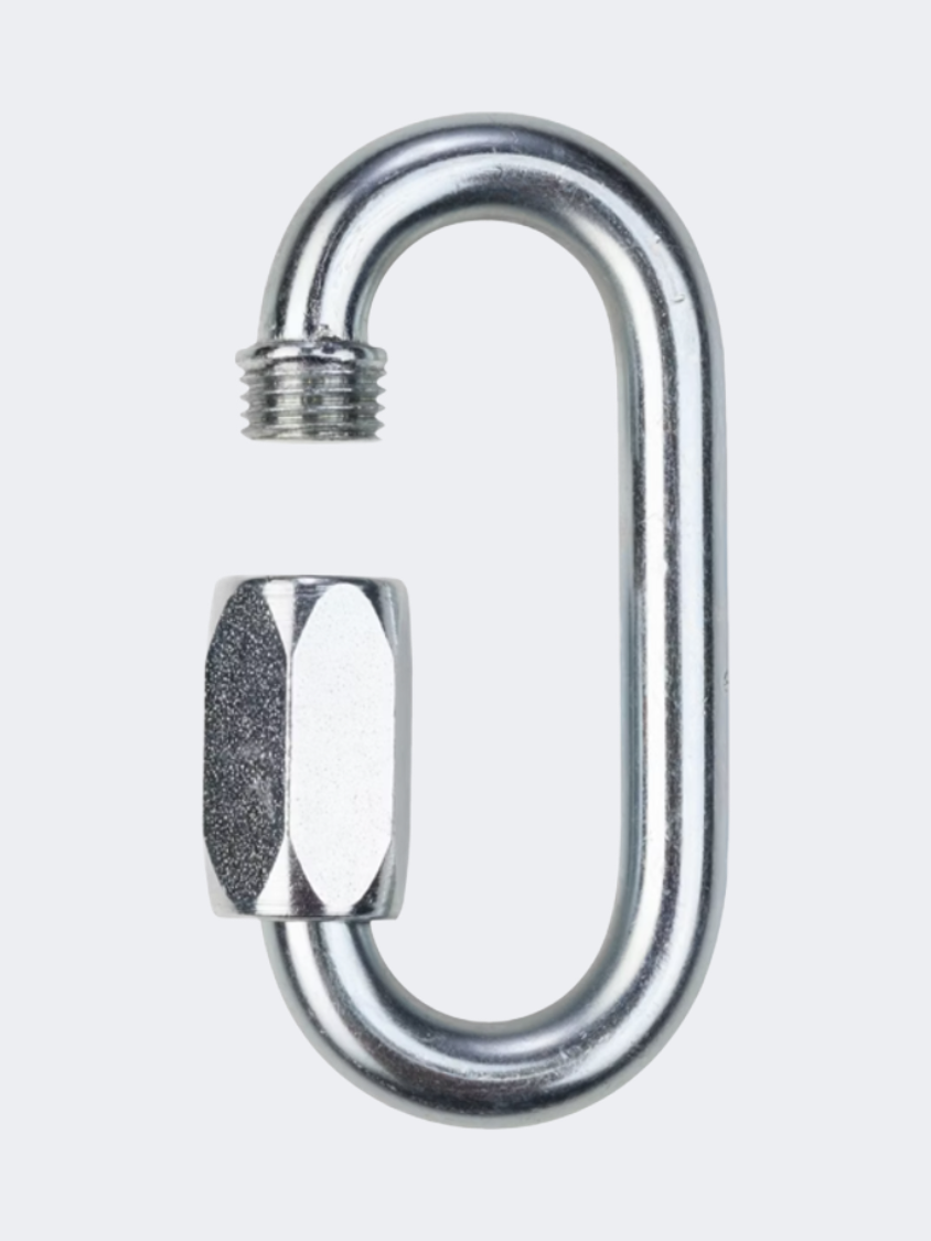 Salewa Maillon Rapide Carabiner Silver