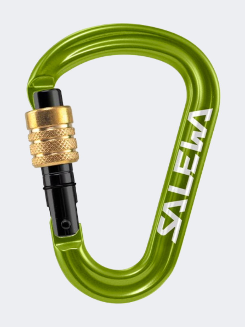 Salewa Hms Pro Climbing Carabiner Fluo Green